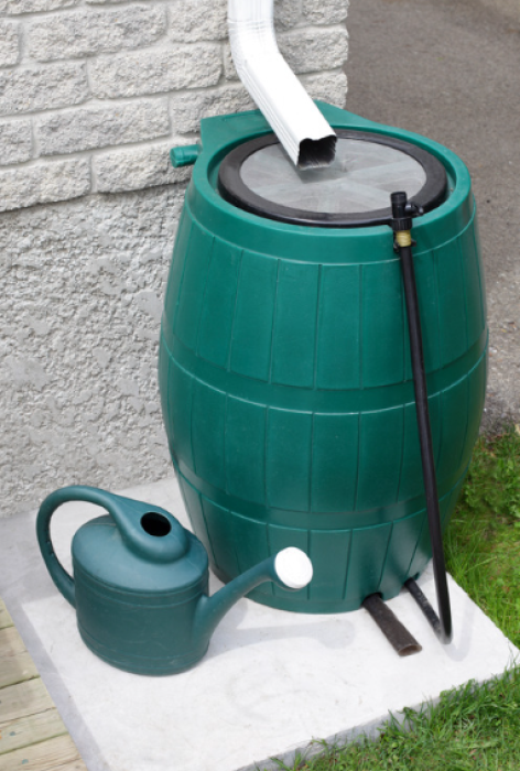 Screenshot 2026-01-05 162133